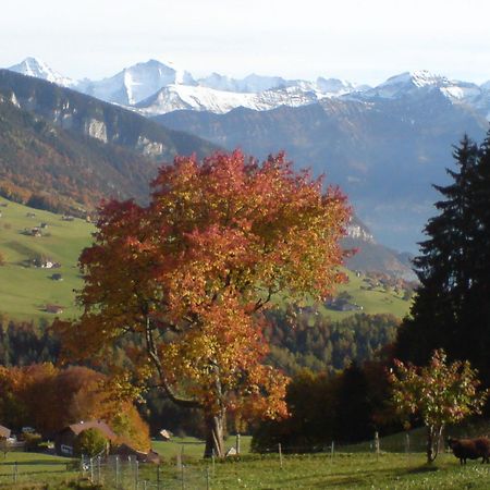 Hotel Rothorn Sigriswil Exterior photo