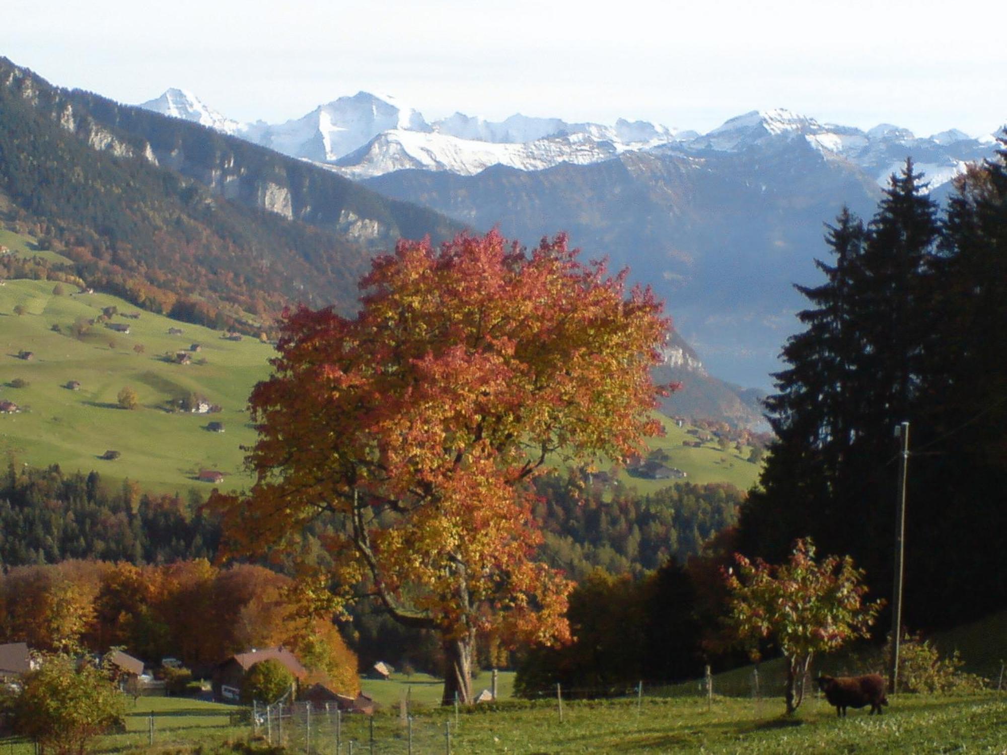 Hotel Rothorn Sigriswil Exterior photo